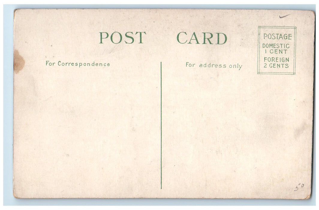 c1910's Canisius College Front View Flag Pole Cross Flowers Buffalo NY Postcard