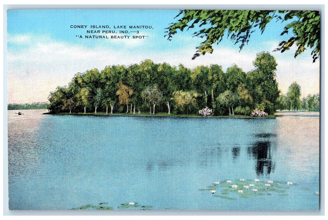 Scenic View Of Coney Island Lake Manitou Near Peru Indiana IN Vintage Postcard