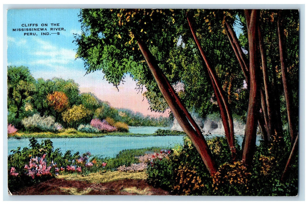 Cliffs On The Mississinewa River Peru Indiana IN, Nature Scene Vintage Postcard