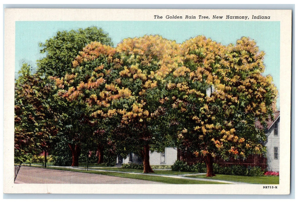 The Golden Rain Tree-lined Street View New Harmony Indiana IN Vintage Postcard