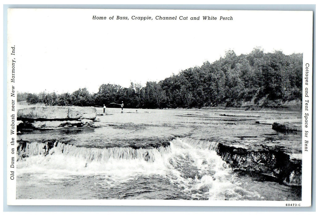 Home of Bass Crappie Channel Cat And White Perch New Harmony Indiana IN Postcard