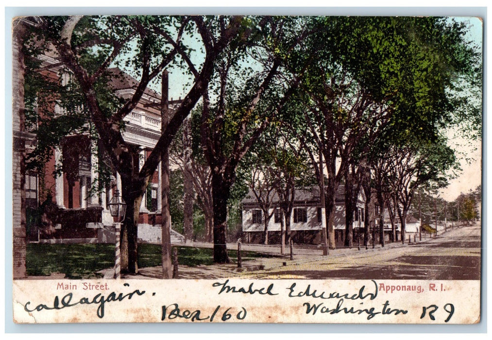 1906 Main Street Scene Trees Apponaug Rhode Island R.I. Posted Vintage Postcard