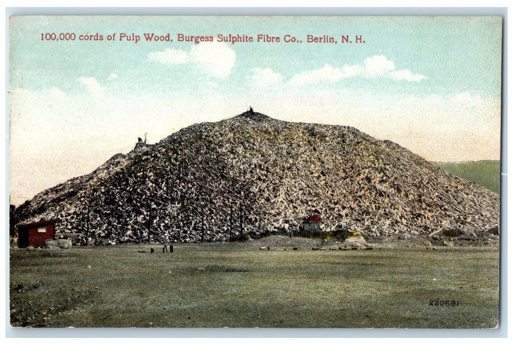 c1910s Cords Pulp Wood Burgess Sulphite Fibre Co New Hampshire Unposted Postcard