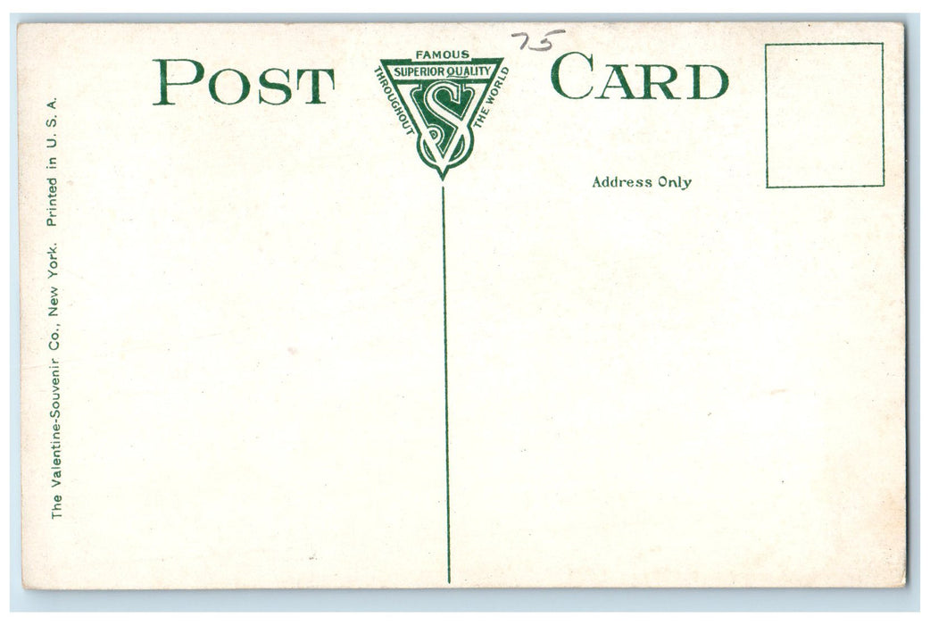 c1910s Cords Pulp Wood Burgess Sulphite Fibre Co New Hampshire Unposted Postcard