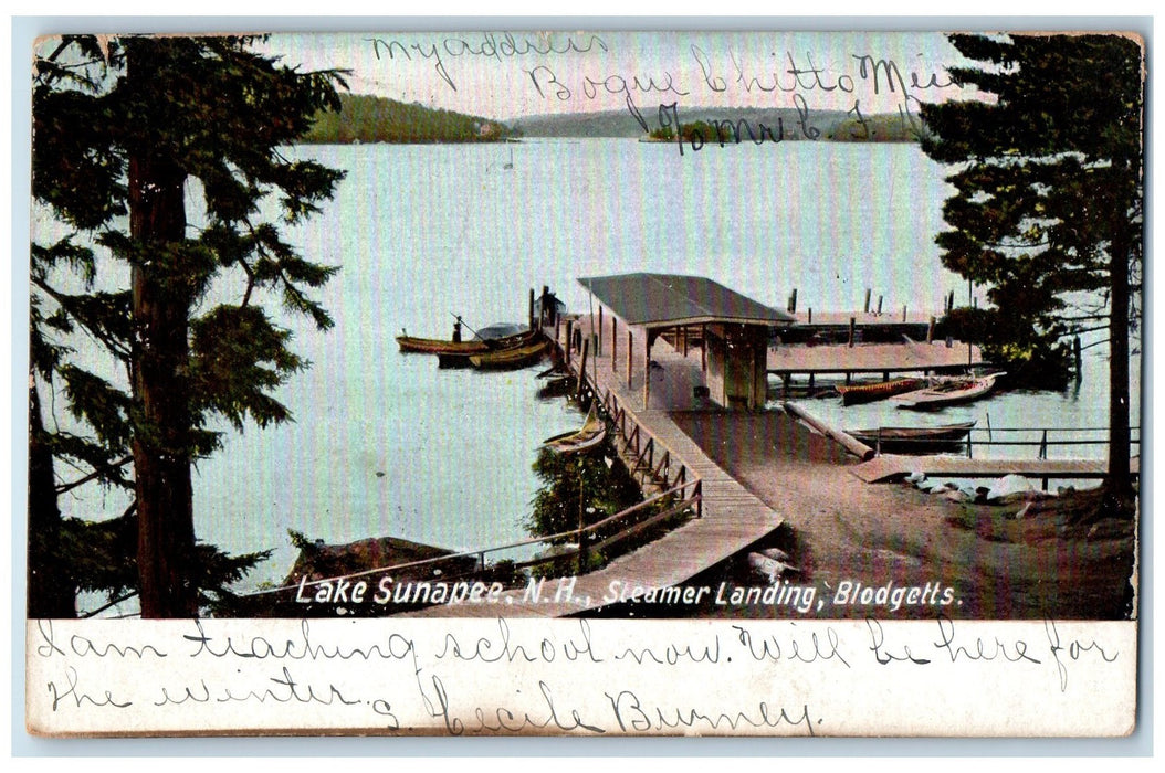 1907 Steamer Landing Blodgetts Lake Sunapee New Hampshire NH Posted Postcard