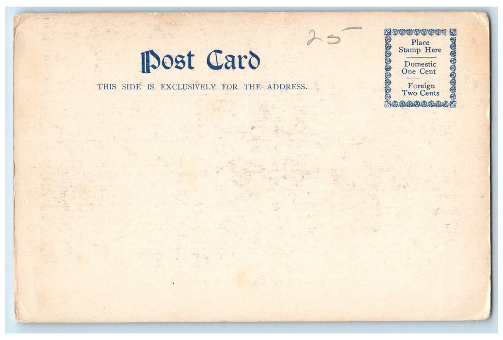 c1905s The Boat Landing Canobie Lake Park New Hampshire NH Unposted Postcard