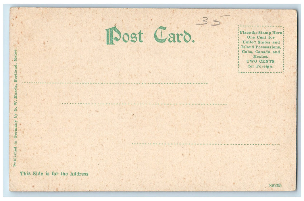 c1905's Boat Landing Centre Harbor Scene Lake New Hampshire NH Unposted Postcard
