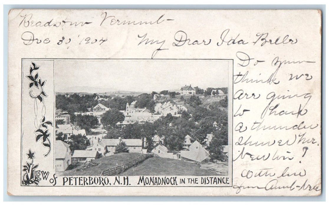 1904 Monadnock In The Distance Peterboro New Hampshire NH Unposted Tree Postcard