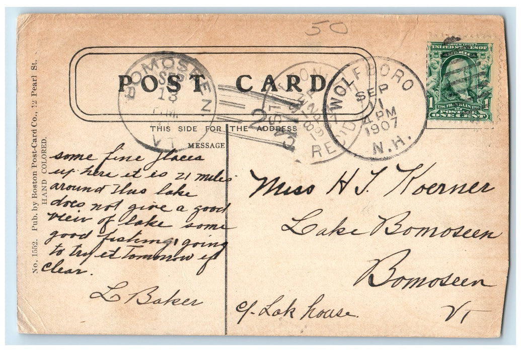 1907 Bird's Eye View Of Centre Harbor New Hampshire NH Posted Tree Postcard