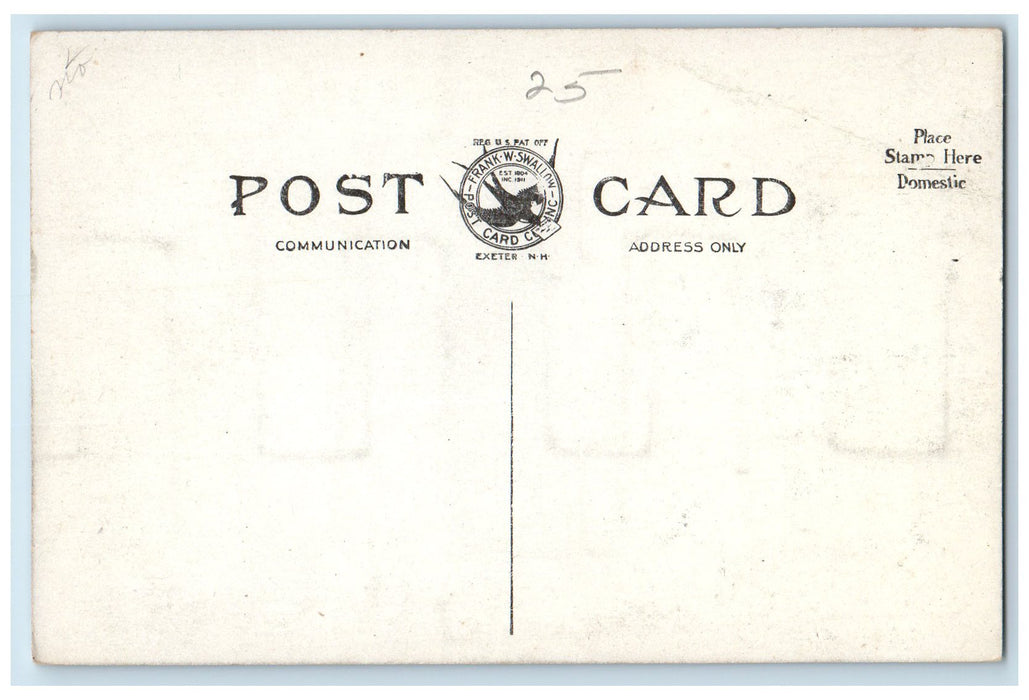 1908 Wentworth Hospital Buildings Dover New Hampshire NH Unposted Trees Postcard