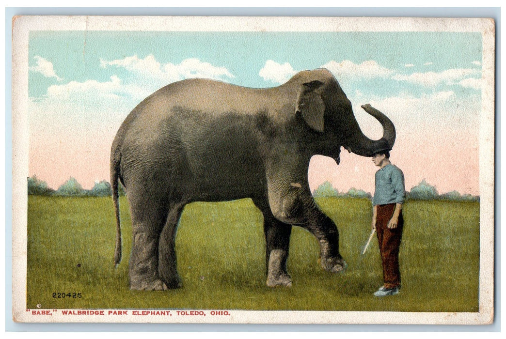 c1910's Babe Walbridge Park Elephant Toledo Ohio OH Unposted Vintage Postcard