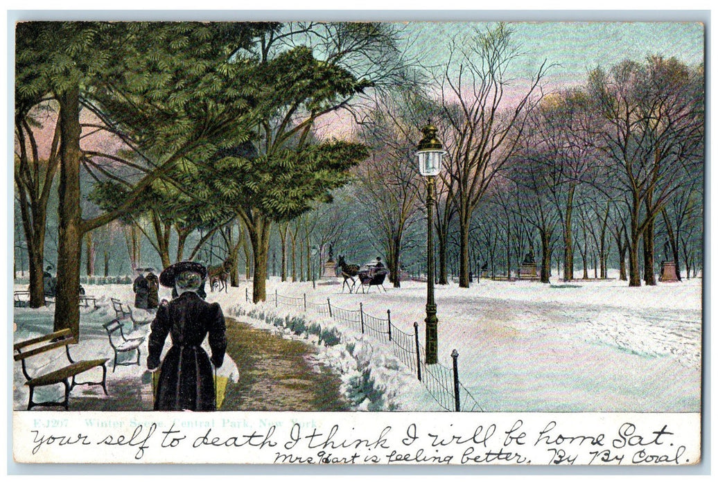 c1910 Winter Scene Icy Chairs Horse Carriage Lamp Post Central Park  NY Postcard