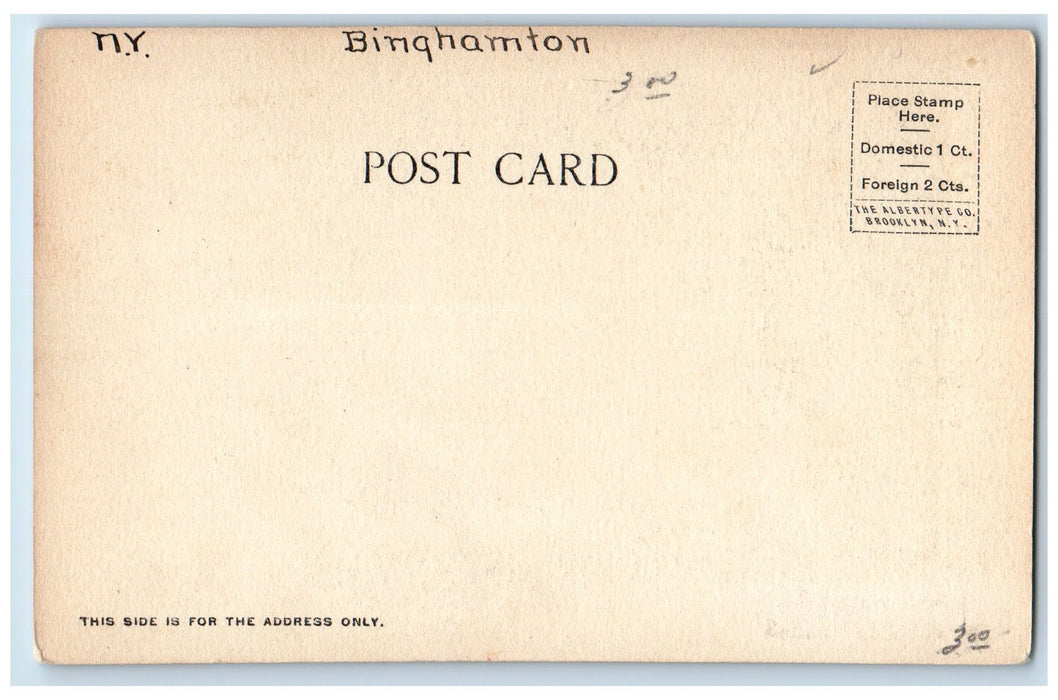 c1905 Public Library Binghamton New York NY, Horse Carriage Scene Postcard