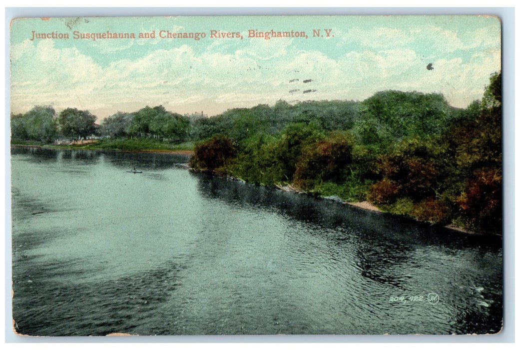 1909 Junction Susquehanna And Chenango Rivers Binghamton New York NY Postcard