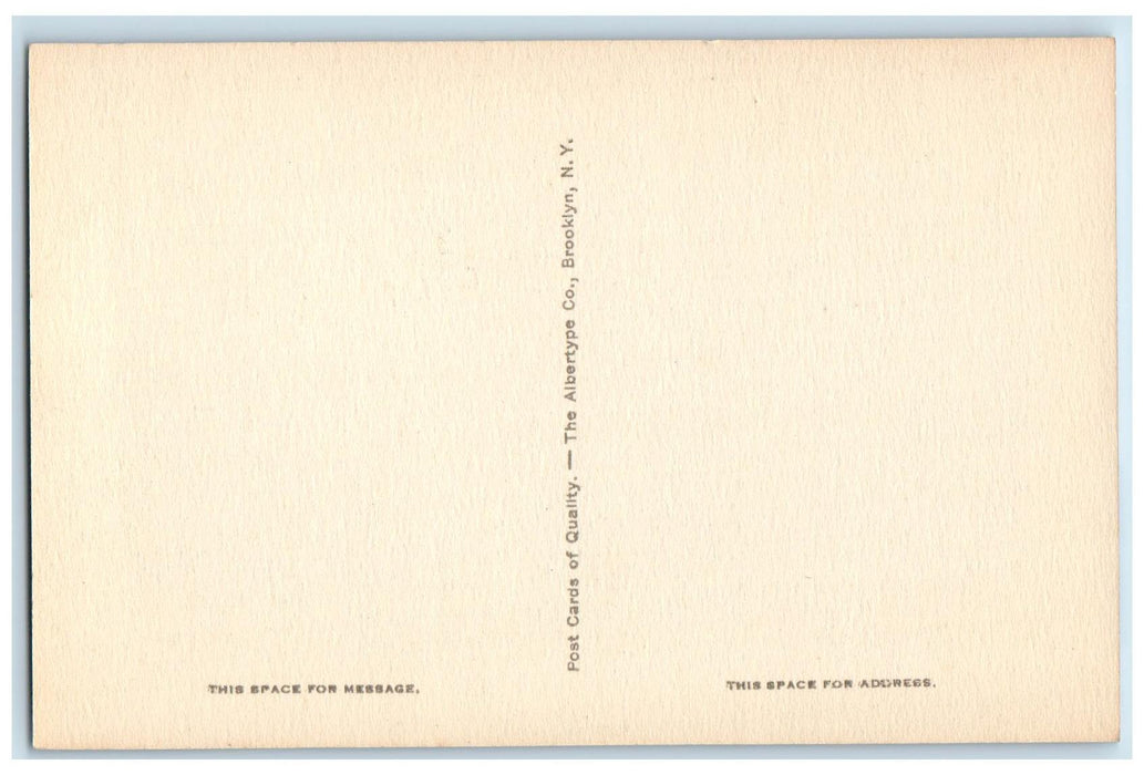 c1910 The Dedication Soldier's Sailor's Monument Statue Horse Bourne MA Postcard