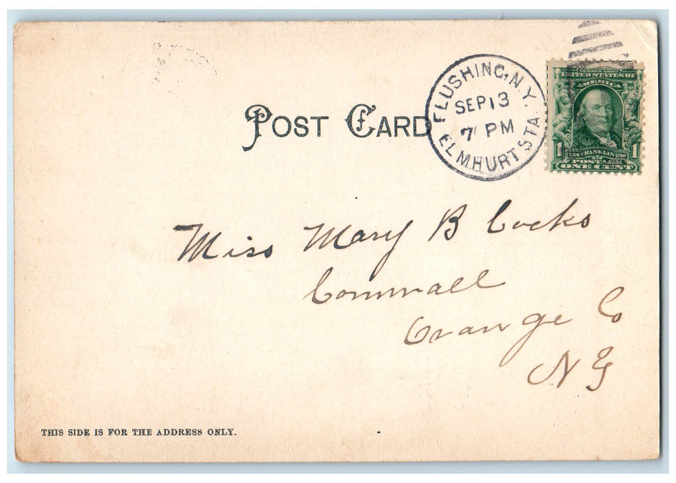 c1905 High School Jamaica Cleaning Dirty Road Long Island New York NY Postcard