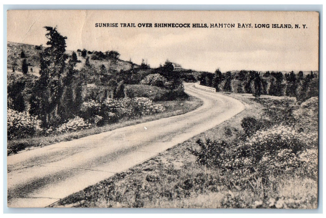 1947 Sunrise Trail Shinnecock Hills Dirt Road Forest Hamton Bays N.Y. Postcard