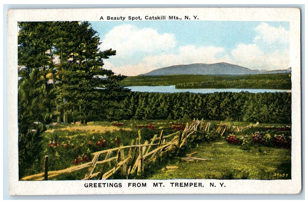 Greetings From Mt. Tremper A Beauty Spot Catskill Mountain New York NY Postcard