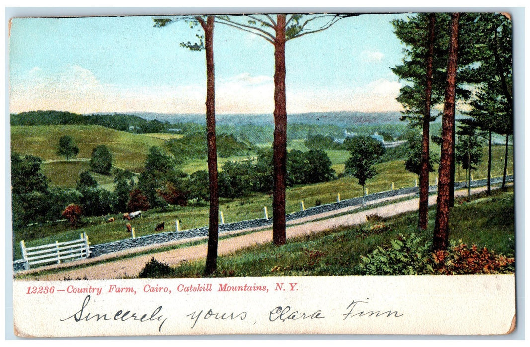 c1905 View Of Country Farm Cairo Catskill Mountain New York NY Antique Postcard