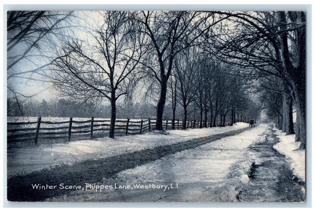1907 Winter Scene Phippes Lane Dirt Road Horse Carriage Westbury N.Y. Postcard