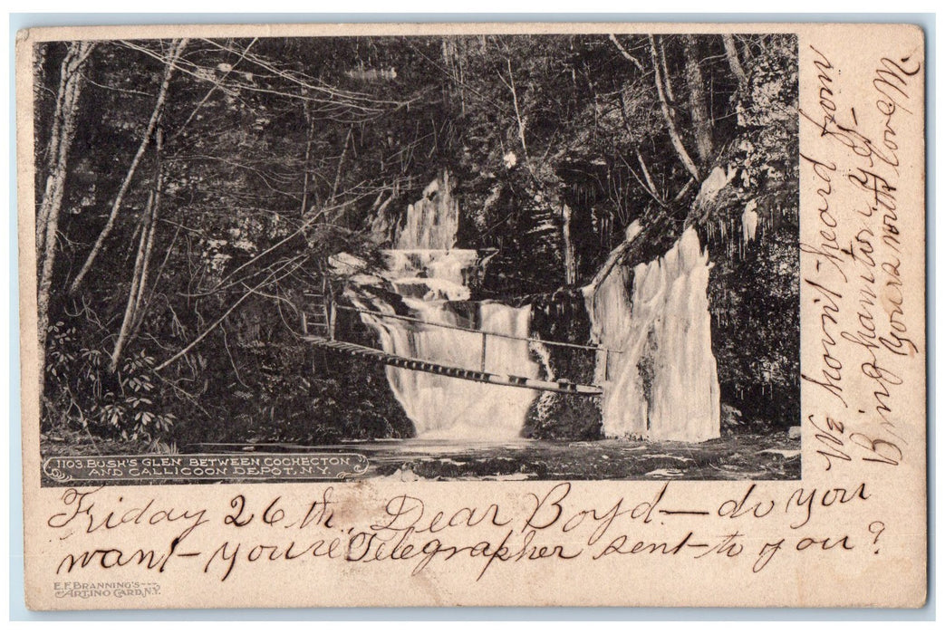 1906 Bush's Glen Between Cochecton And Callicoon Depot New York NY Postcard