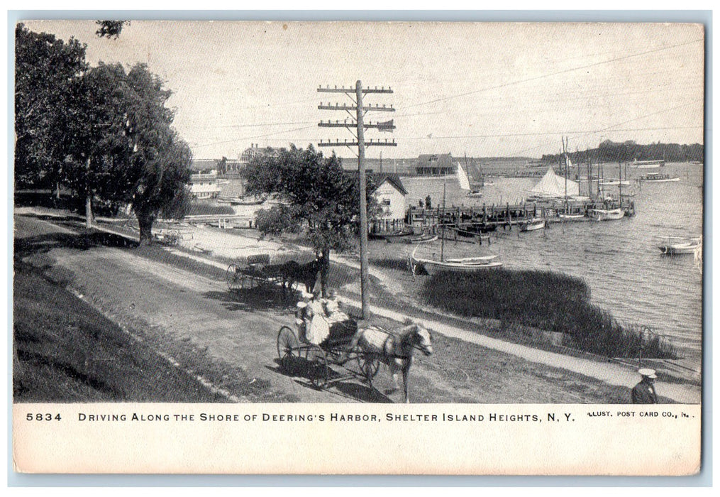 1909 Driving Along Shore Deering's Harbor Shelter Island Heights N.Y. Postcard