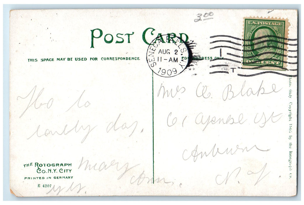 1909 Scene At Pavillion House Cayuga Lake Park Seneca Falls New York NY Postcard