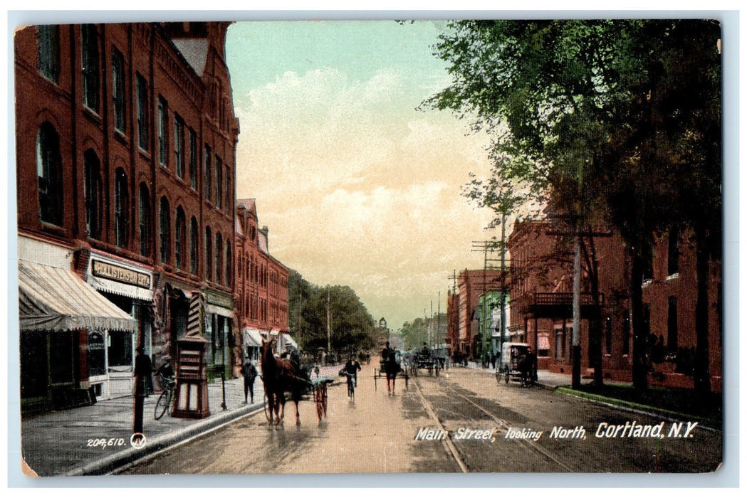 c1910's Main Street Looking North Cortland New York NY, Horse Carriage Postcard