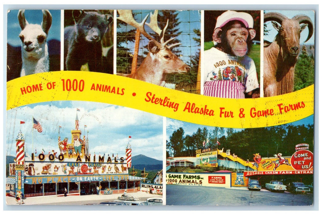 c1960s Home Of 1000 Animals Sterling Alaska Lake Placid New York NY Postcard