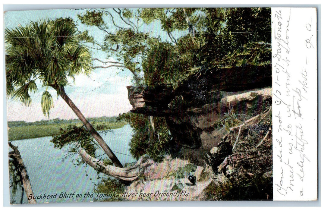 1907 Buckhead Bluff Tomoka River Near Ormond Florida FL RPO Antique Postcard