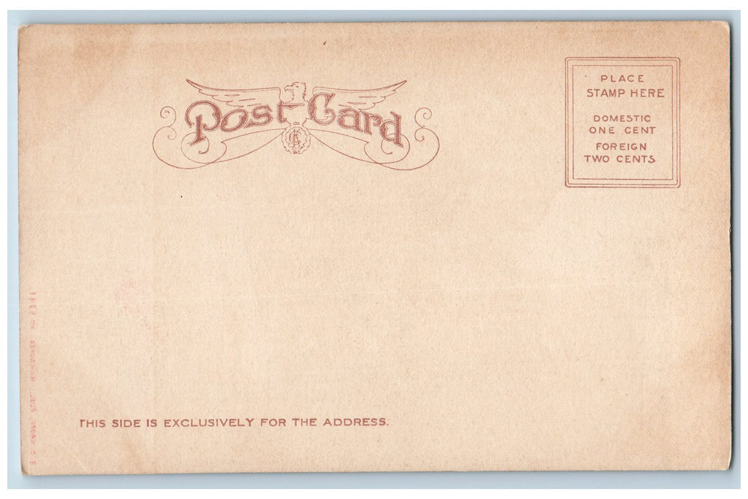 c1905's Inspiration Point Clear Railway Lake Creek Canyon Colorado CO Postcard