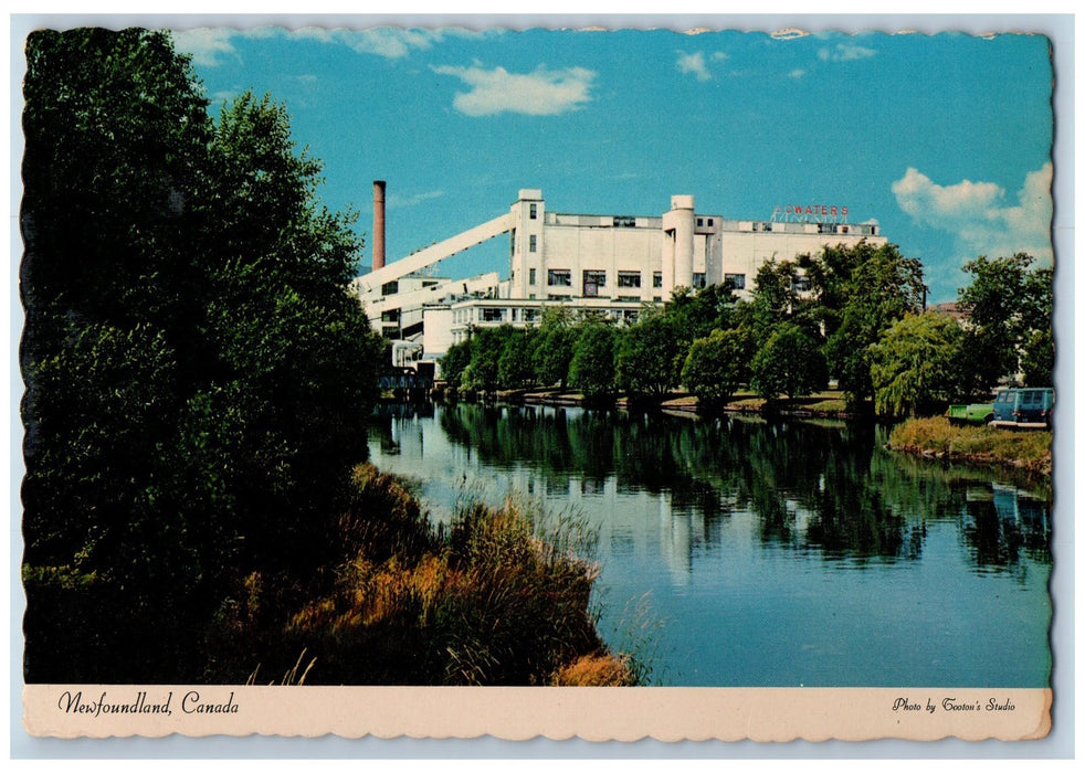 c1960's Newfoundland Lake Pick Up Van Lined Trees Building Canada CA Postcard