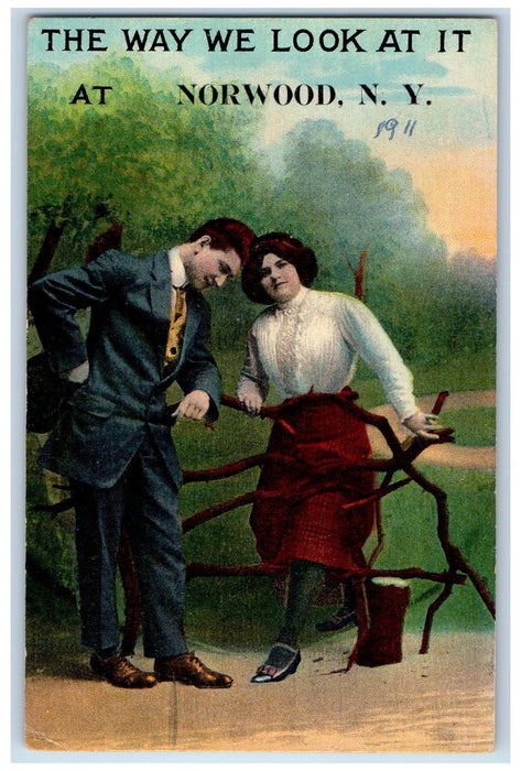 1911 The Way We Look At It Couple Norwood New York Posted Vintage Postcard