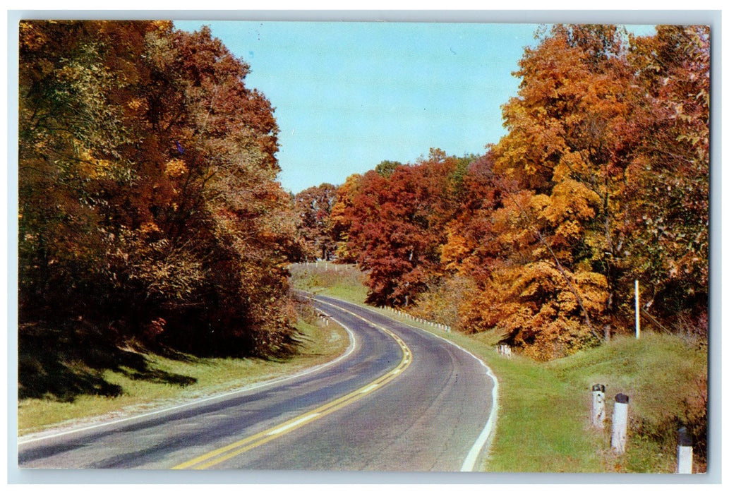 c1960's Tecumseh Trail Scene Brown County Indiana IN Unposted Trail Postcard