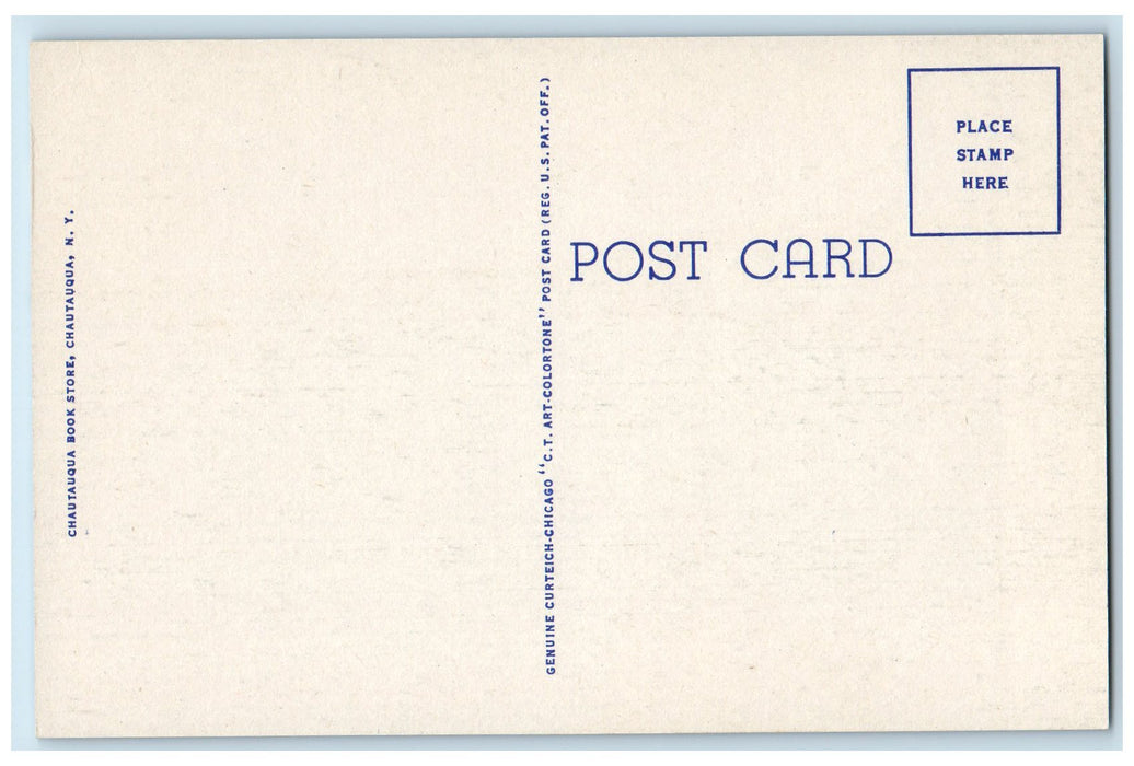 c1940's North Shore Chautauqua Lake Docking Point Boats New York NY Postcard