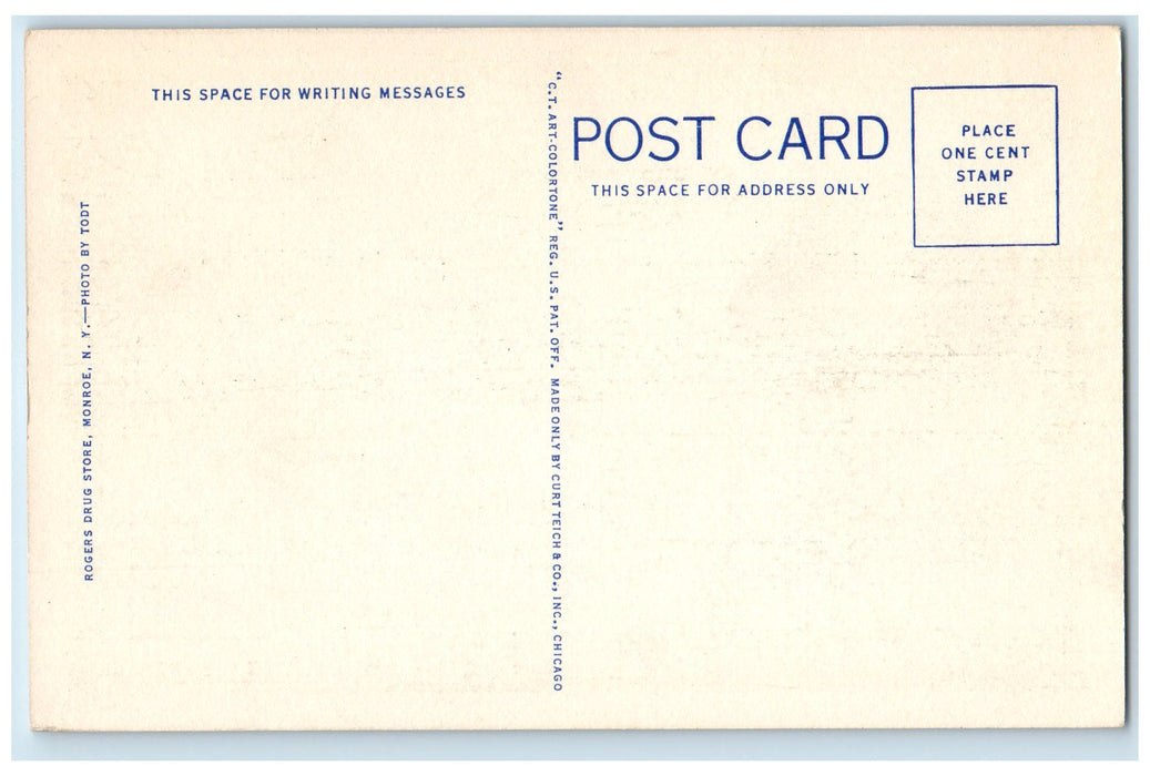 C1940's Lake Shore House Bathing Beach Walton Lake Boating Monroe NY Postcard