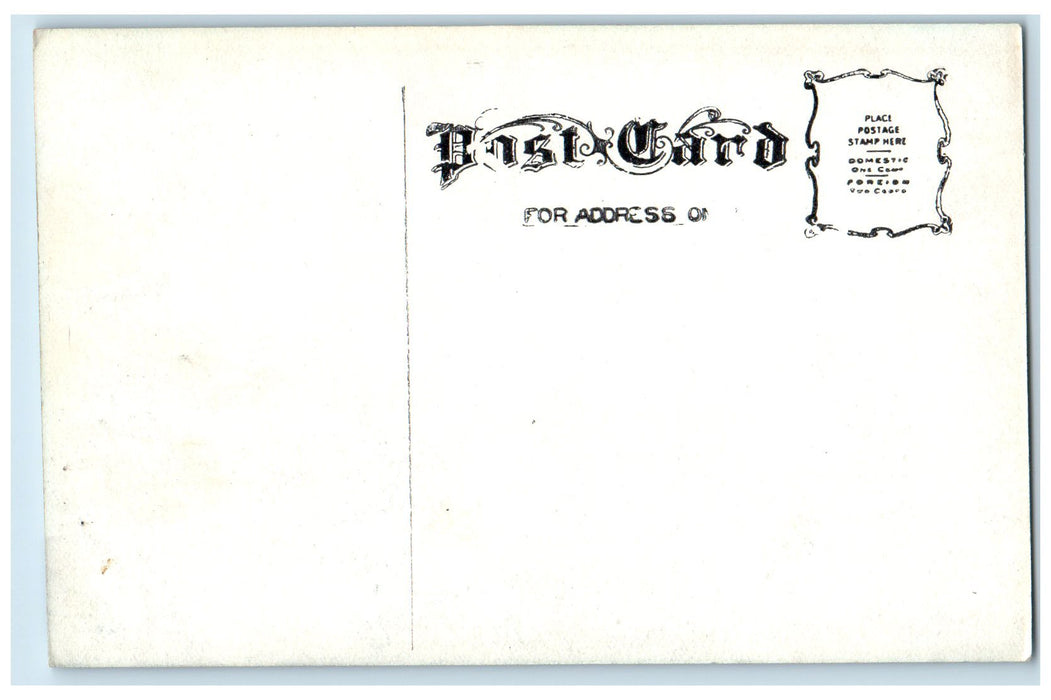 c1910's Iowa State Capitol Building Des Moines IA Unposted Vintage Postcard