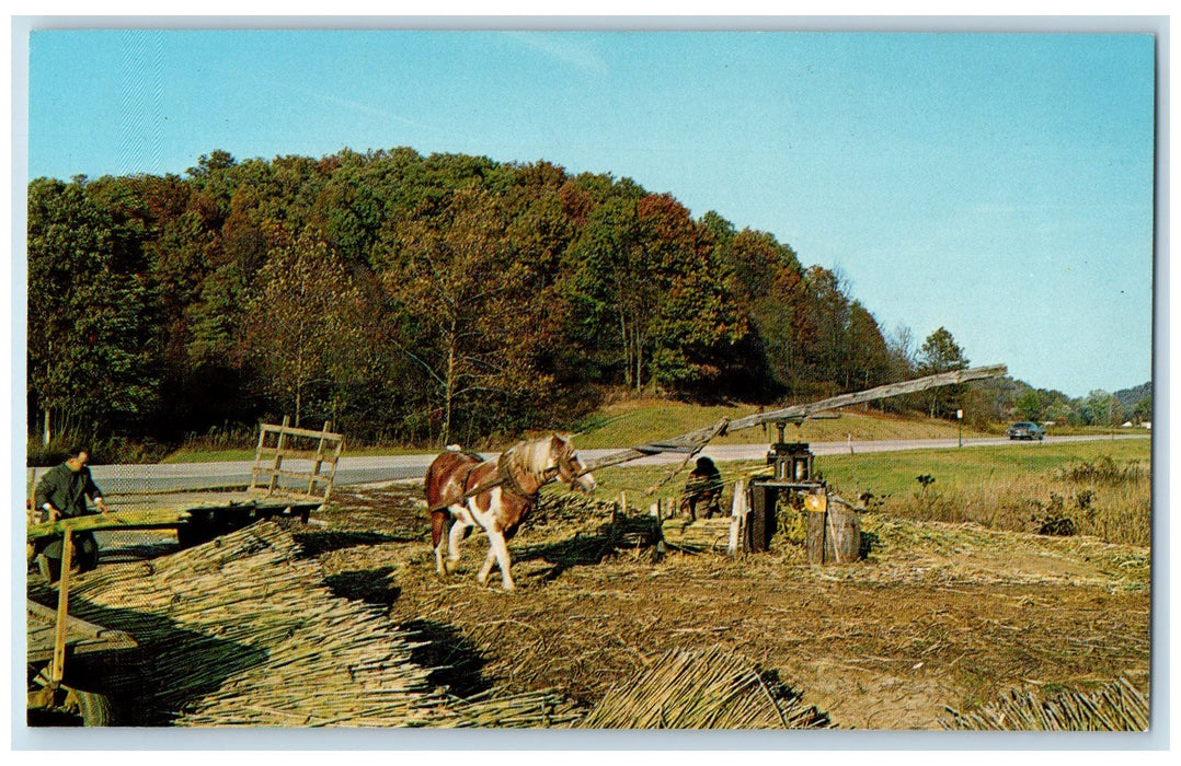 c1960's White's Sorghum Mill Brown County Indiana IN Unposted Horse Postcard