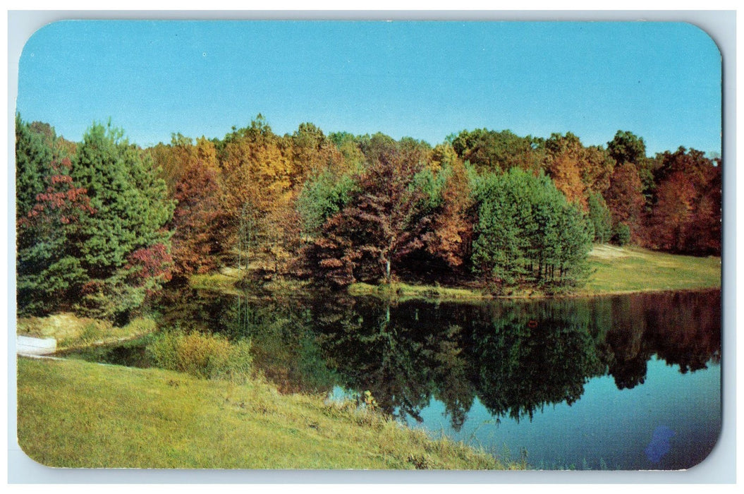 c1960's Ogle Lake Brown County State Park Indiana IN Unposted Trees Postcard