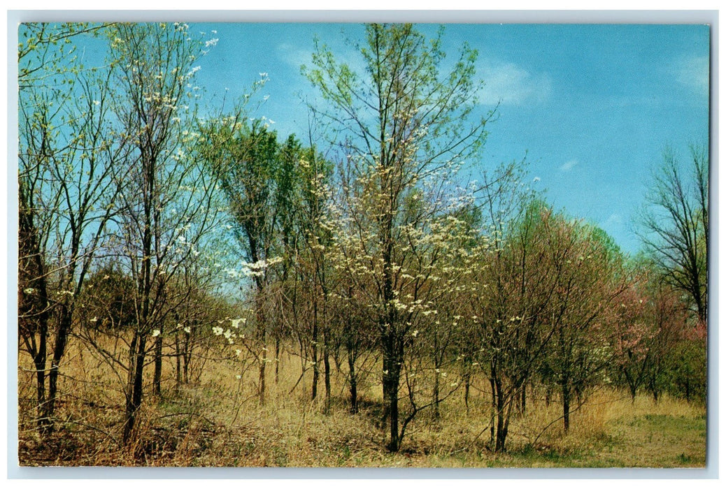 c1960's Springtime Picturesque Brown County Indiana IN Unposted Vintage Postcard