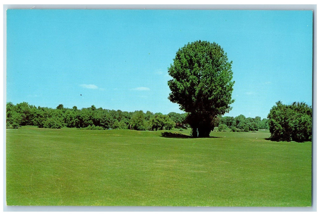 c1960's Forest Park Golf Course Noblesville Indiana IN Unposted Field Postcard