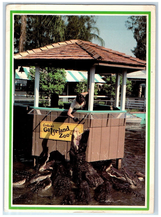c1960 Gatorland Zoo Park Alligator Feeding Shade Orlando Florida FL Postcard