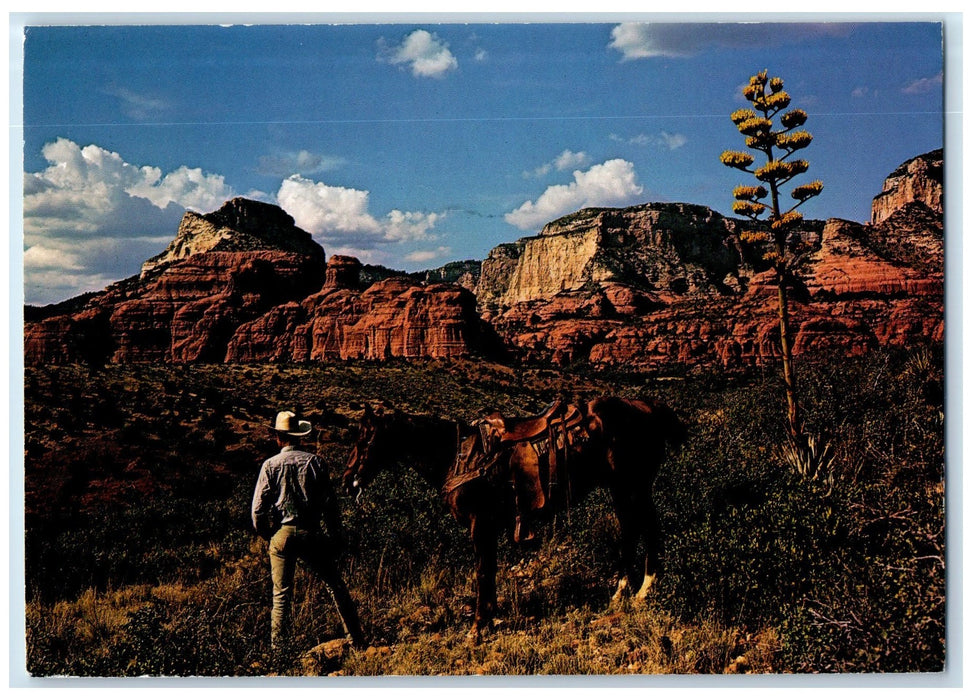 1988 Colorful Oak Creek Canyon Rock Formation Scenic View Arizona AZ Postcard