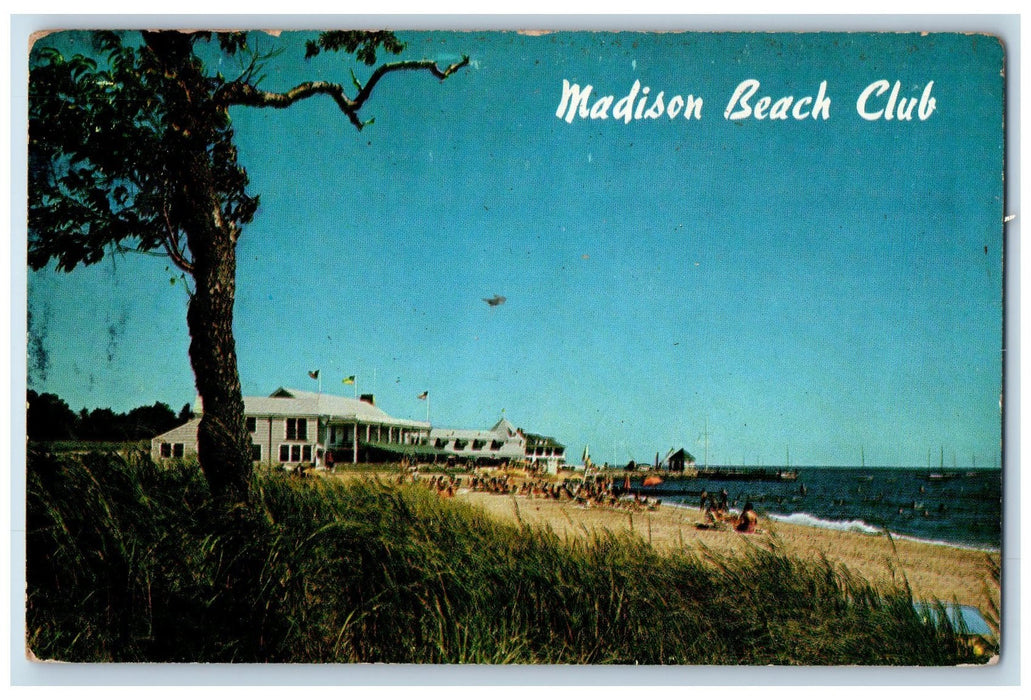c1950's View Madison Beach Club Dock Boat Swimming Flags Connecticut CT Postcard