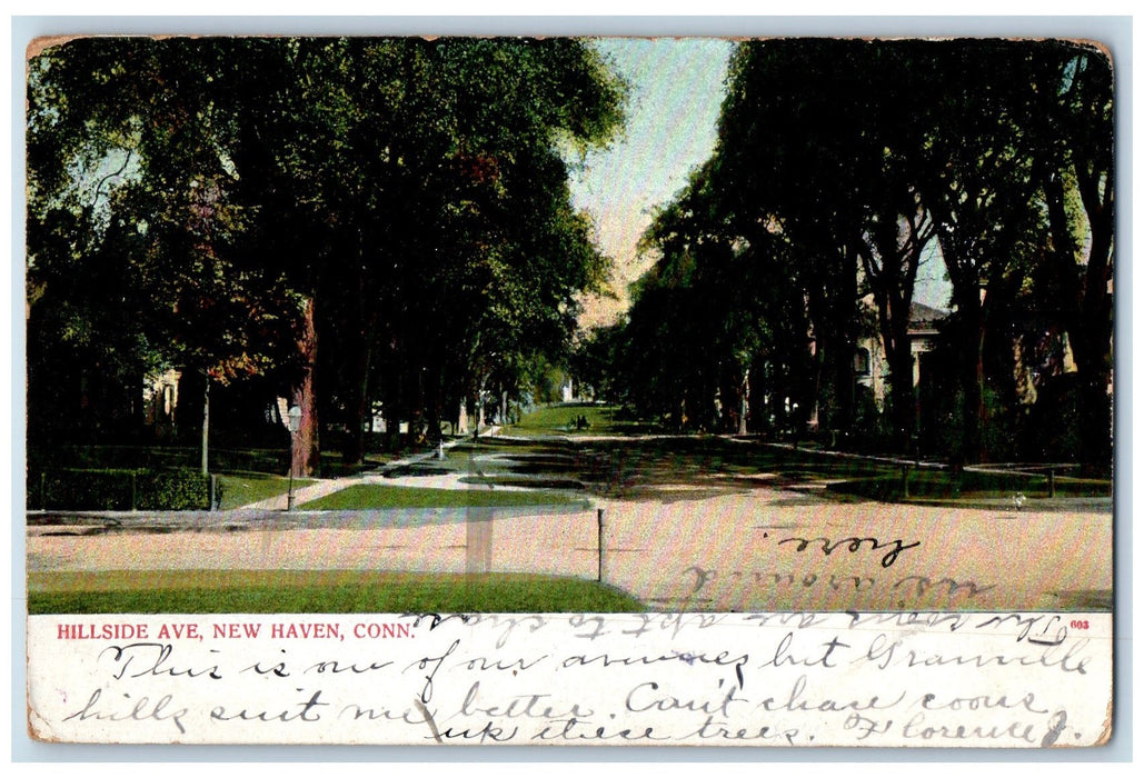 1911 Hillside Avenue Dirt Road Lined Trees New Haven Connecticut CT Postcard