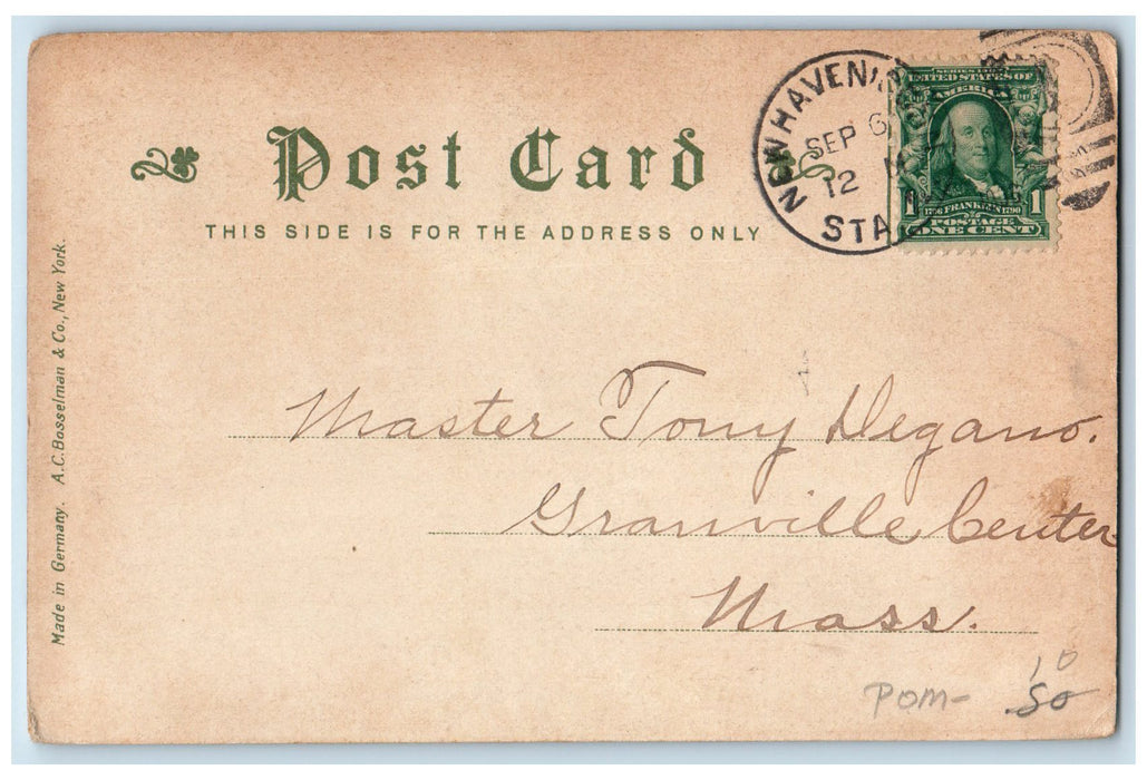 1911 Hillside Avenue Dirt Road Lined Trees New Haven Connecticut CT Postcard