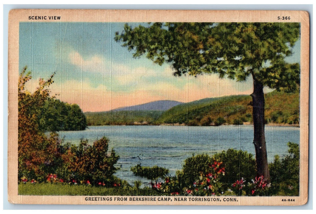 c1950's Greetings From Berkshire Camp Lake Mountain Near Torrington CT Postcard