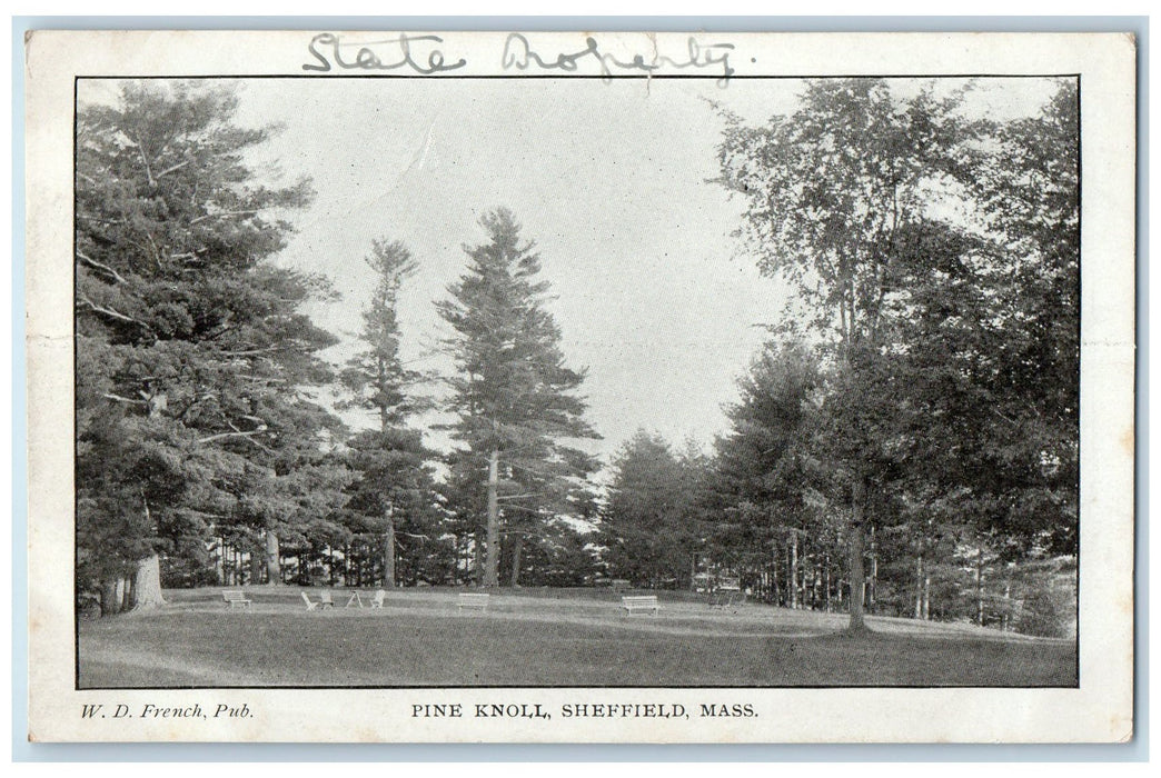 c1905's Pine Knoll Scene Sheffield Massachusetts MA Unposted Vintage Postcard