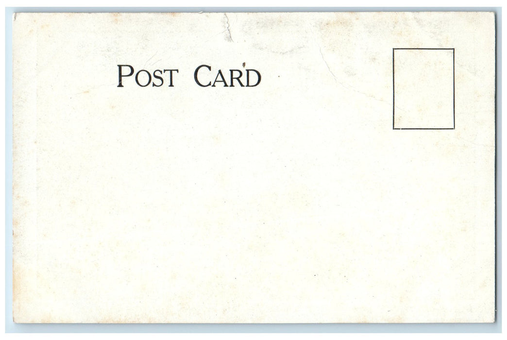 c1905's Pine Knoll Scene Sheffield Massachusetts MA Unposted Vintage Postcard