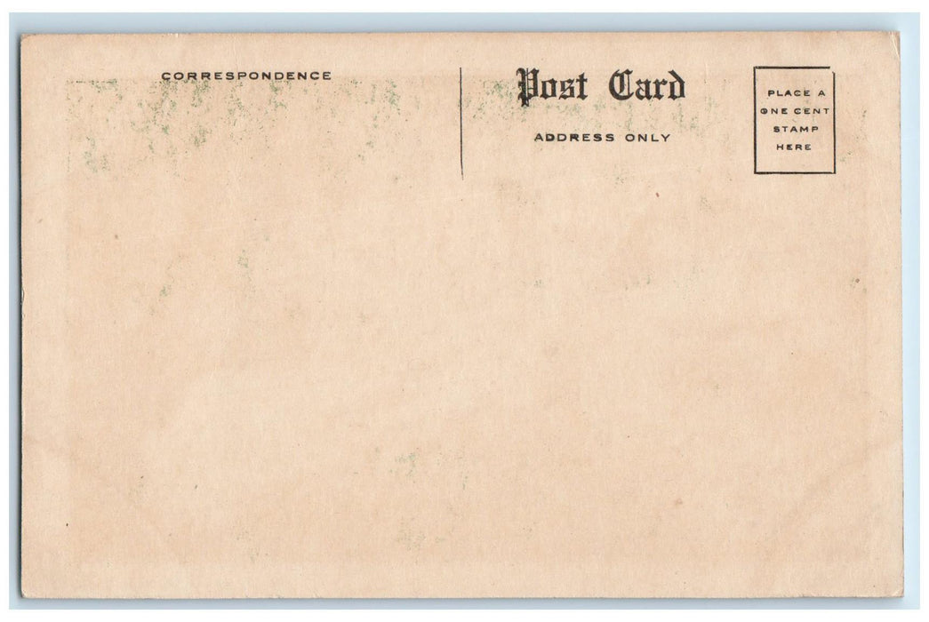 c1920's Twin Falls Sages Ravine Sheffield Massachusetts MA Unposted Postcard